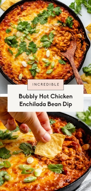 collage of chicken enchilada bean dip